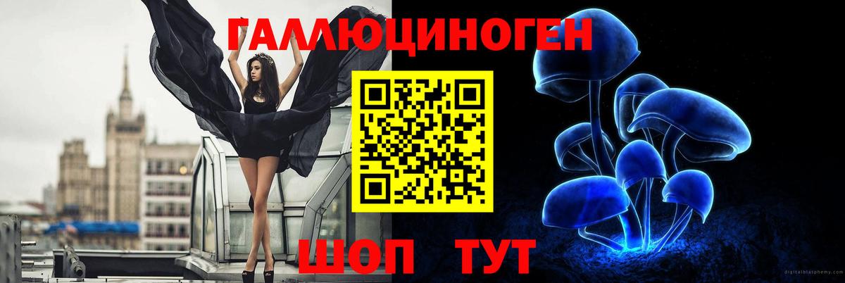 что такое   Вход с VPN  Бор  Галлюциногенные грибы Psilocybine cubensis 
